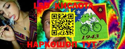 крисы Нарткала