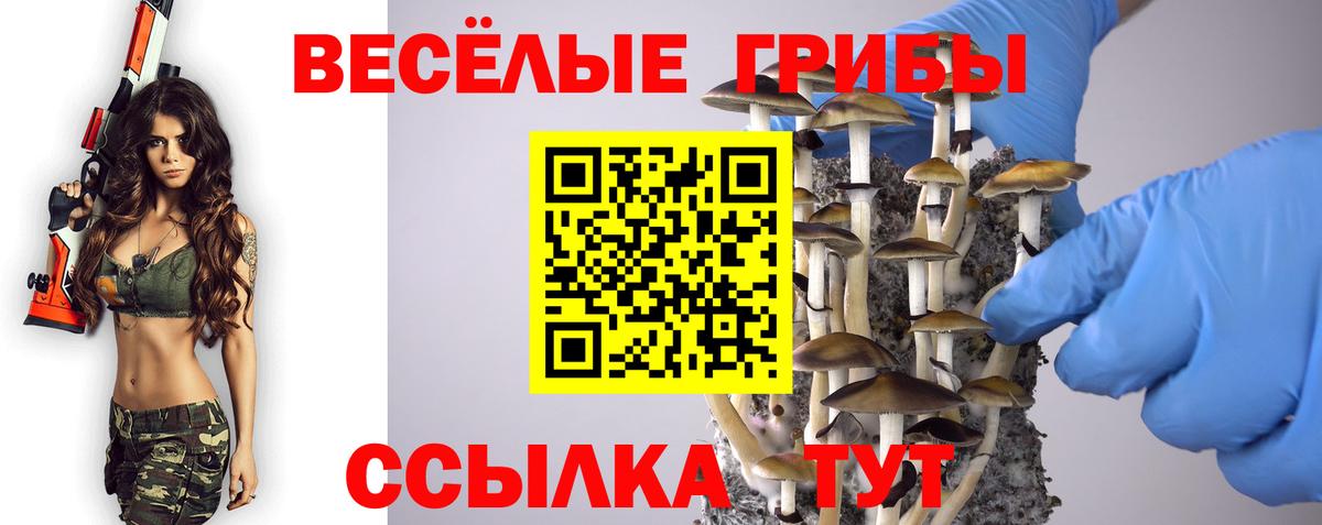 Грязи  Псилоцибиновые грибы Cubensis  Псилоцибиновые грибы мухоморы  Вход с VPN 